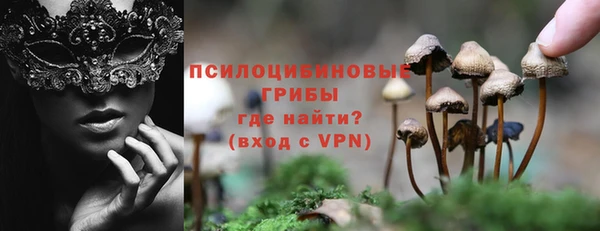 прущие грибы Пенза