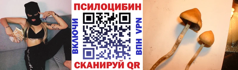 купить  цена  Александровск-Сахалинский  Псилоцибиновые грибы Magic Shrooms 